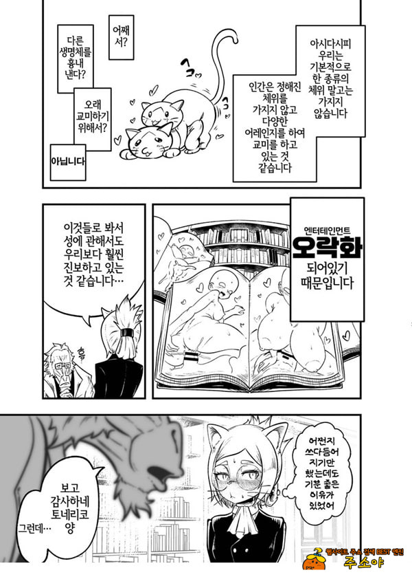 토네리코 보도관의 비밀보고서