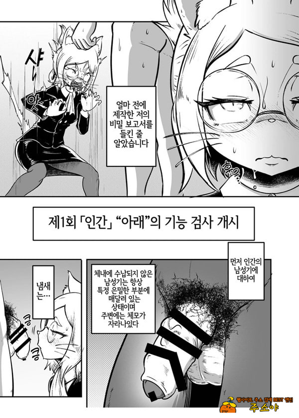 토네리코 보도관의 비밀보고서