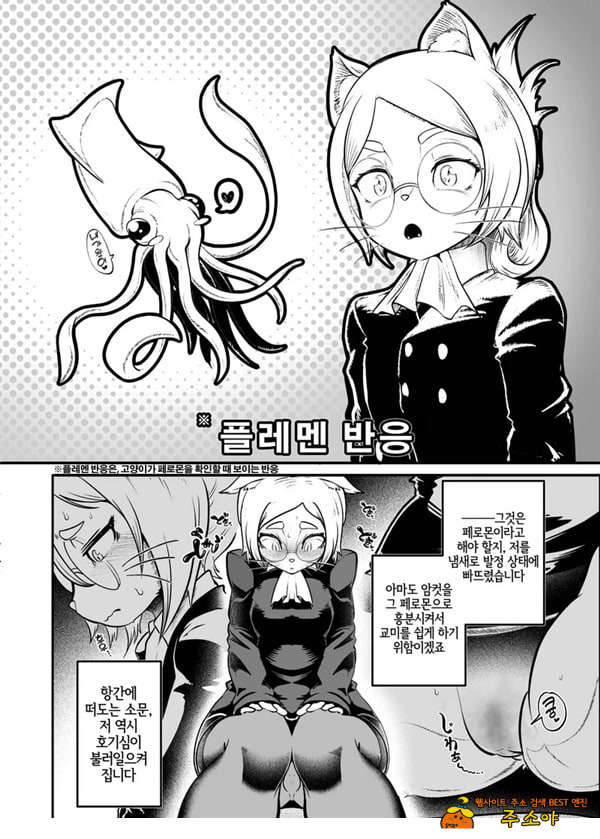 토네리코 보도관의 비밀보고서