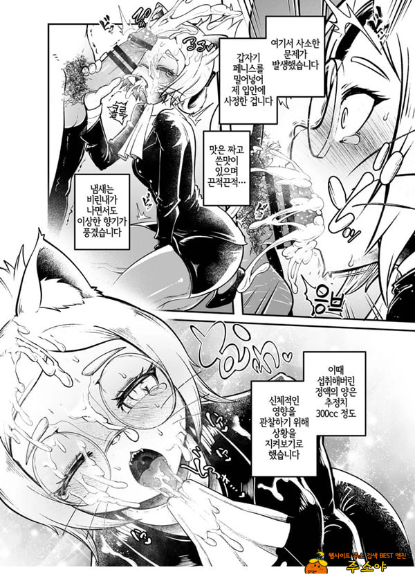 토네리코 보도관의 비밀보고서