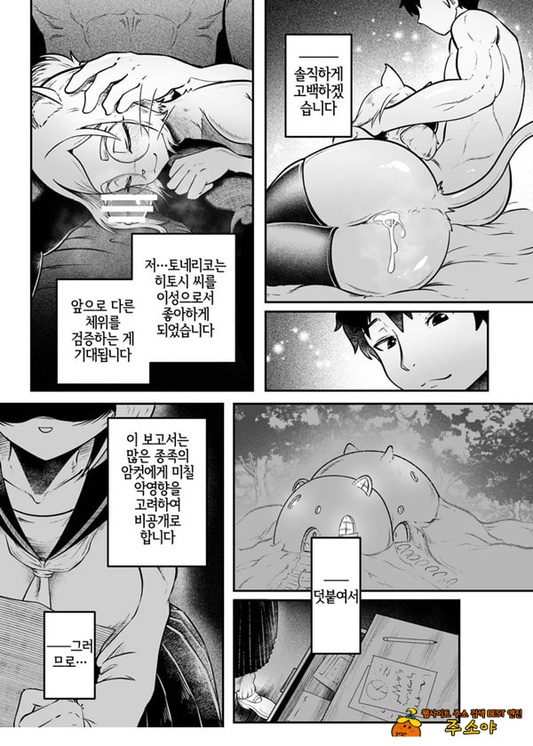 토네리코 보도관의 비밀보고서
