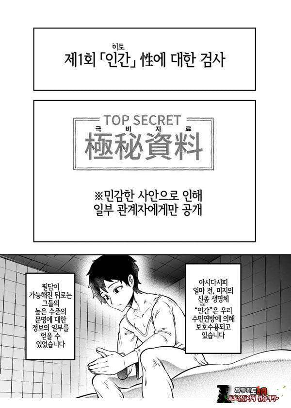토네리코 보도관의 비밀보고서