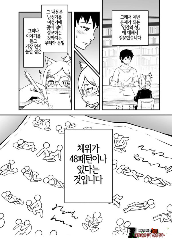 토네리코 보도관의 비밀보고서