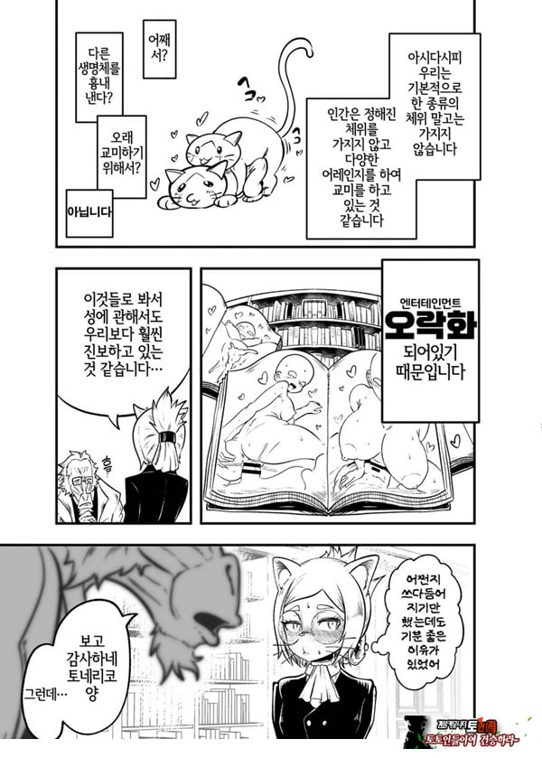 토네리코 보도관의 비밀보고서