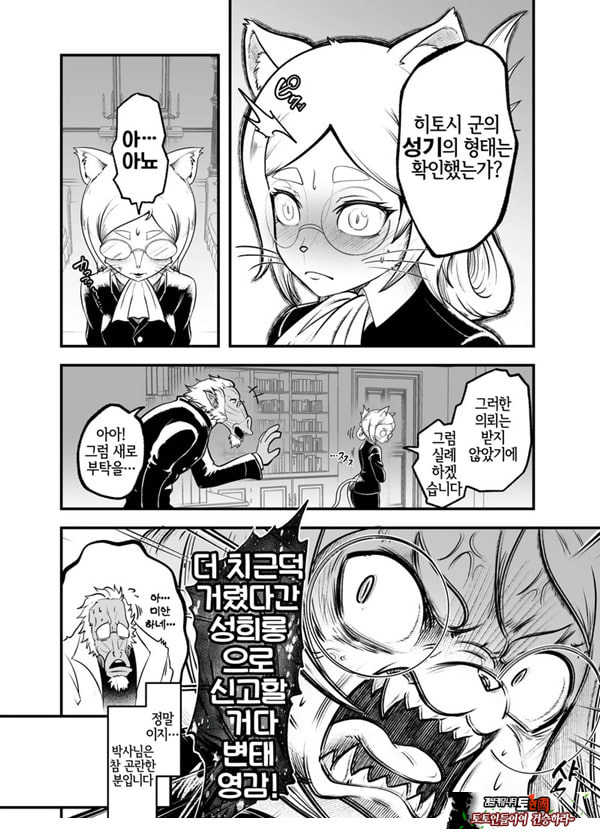 토네리코 보도관의 비밀보고서