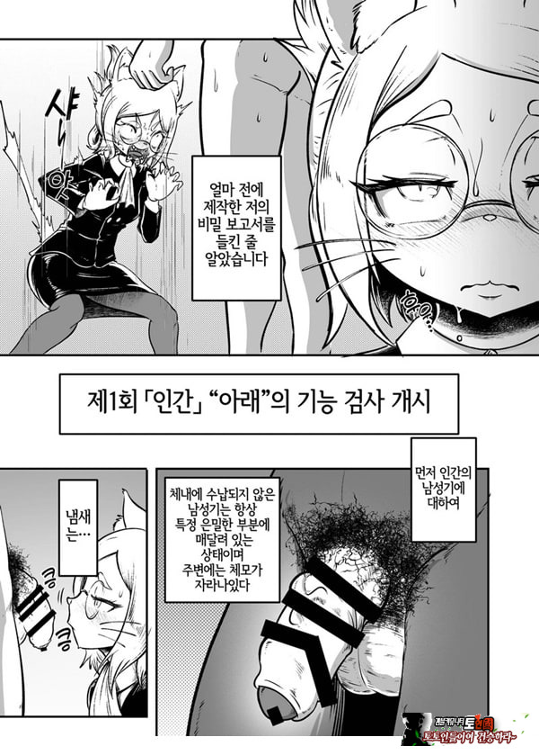 토네리코 보도관의 비밀보고서