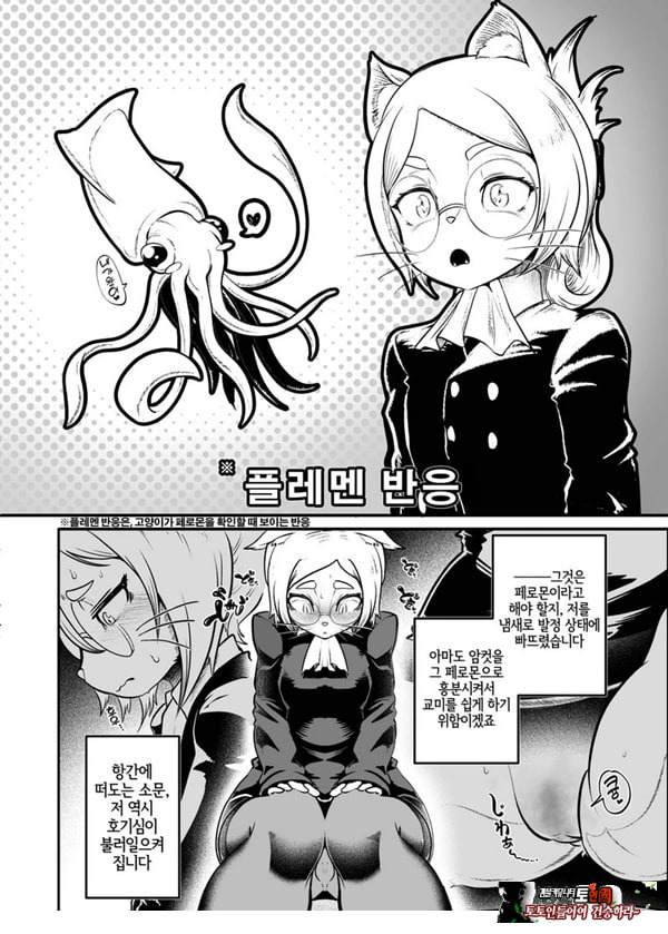 토네리코 보도관의 비밀보고서