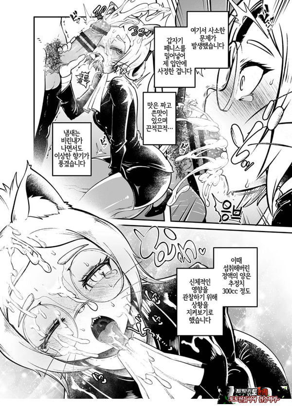 토네리코 보도관의 비밀보고서