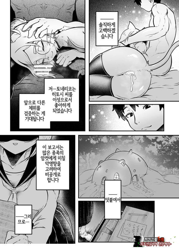 토네리코 보도관의 비밀보고서