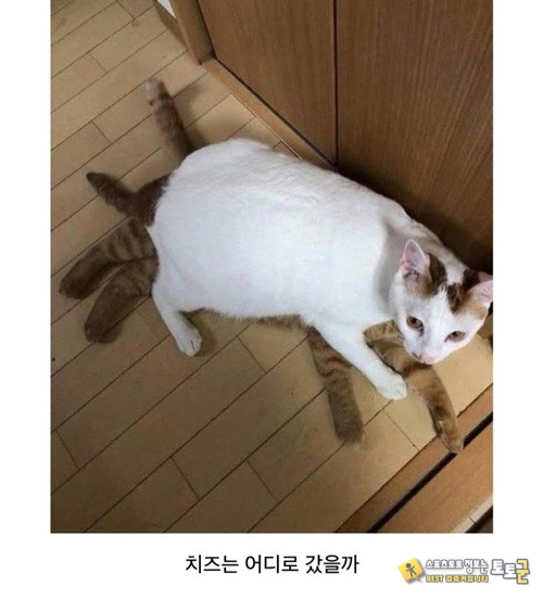 전세역전