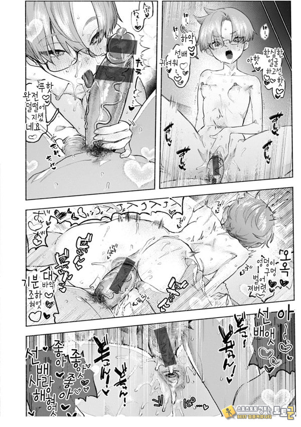 장미빛 쌍방통행 장미빛 쌍방통행