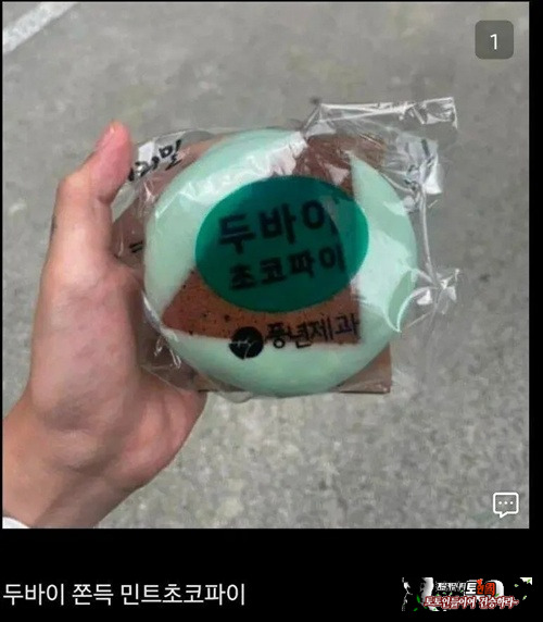 두바이에 미친 한국