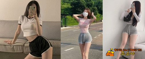 돌핀 좋지