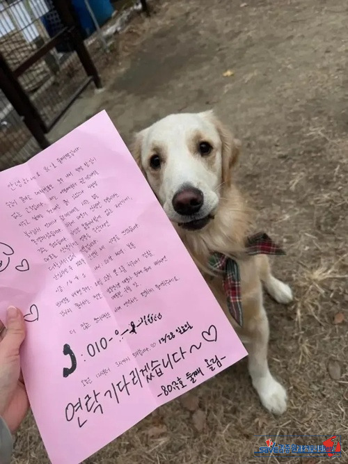 옆집에서 이력서를 받았다