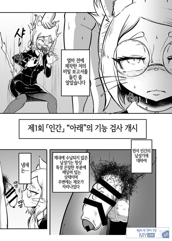 토네리코 보도관의 비밀보고서