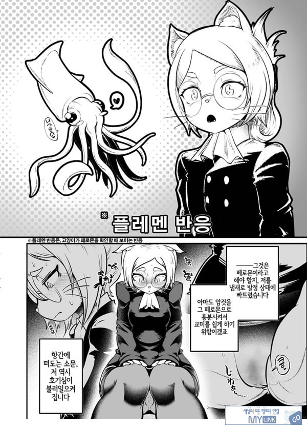 토네리코 보도관의 비밀보고서