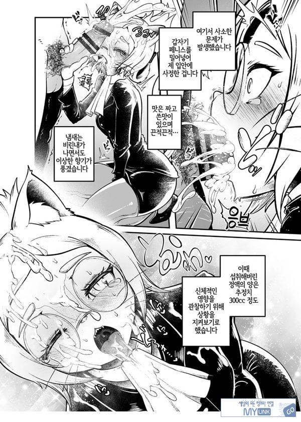 토네리코 보도관의 비밀보고서