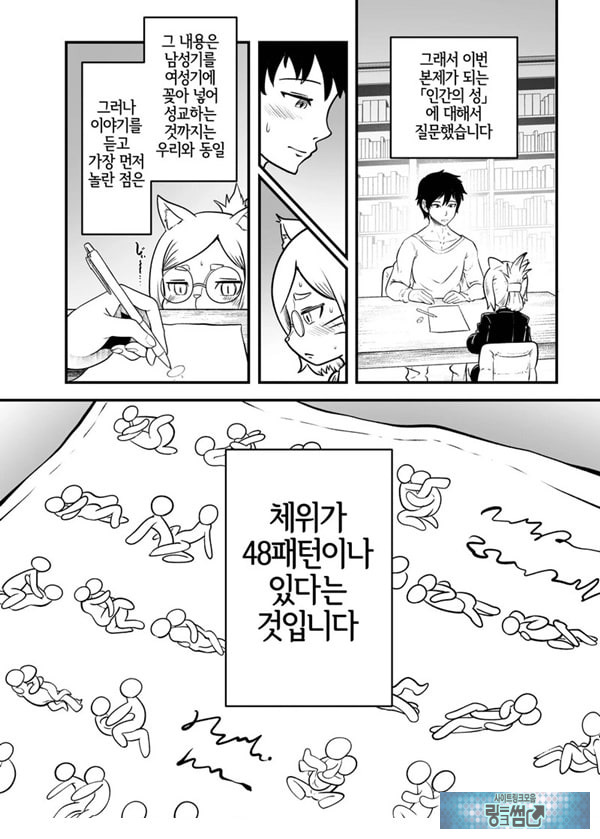토네리코 보도관의 비밀보고서