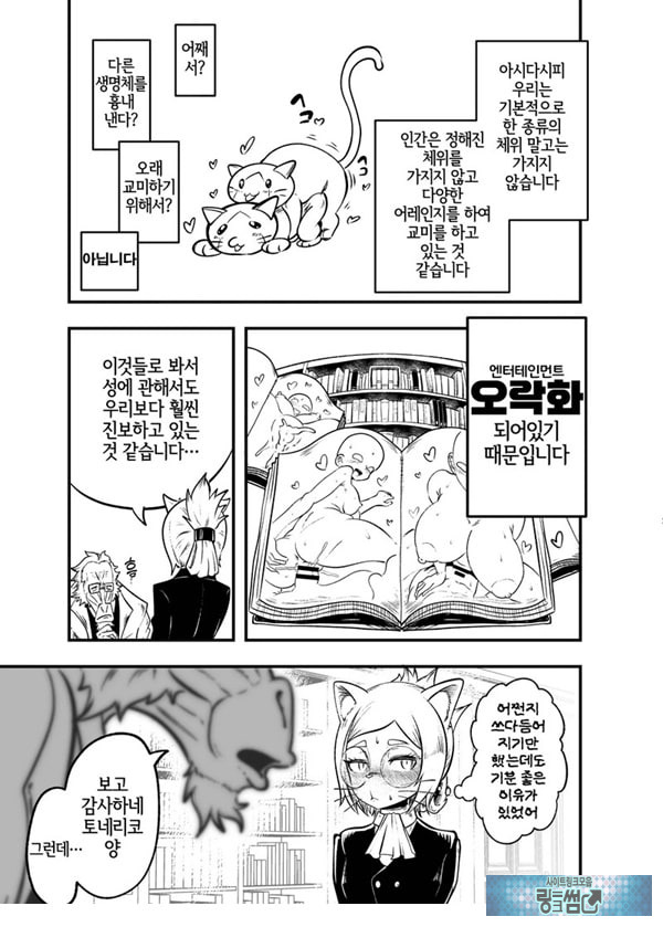 토네리코 보도관의 비밀보고서