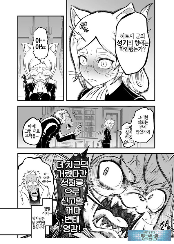 토네리코 보도관의 비밀보고서
