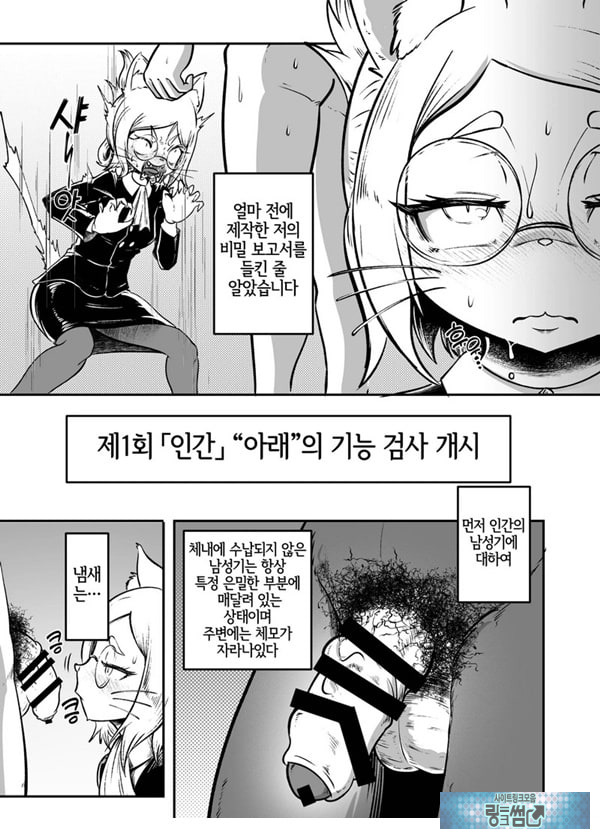 토네리코 보도관의 비밀보고서