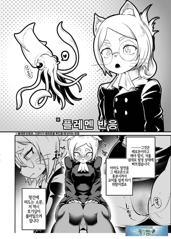 토네리코 보도관의 비밀보고서