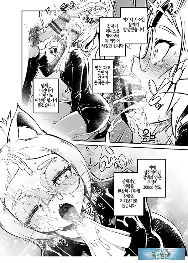 토네리코 보도관의 비밀보고서