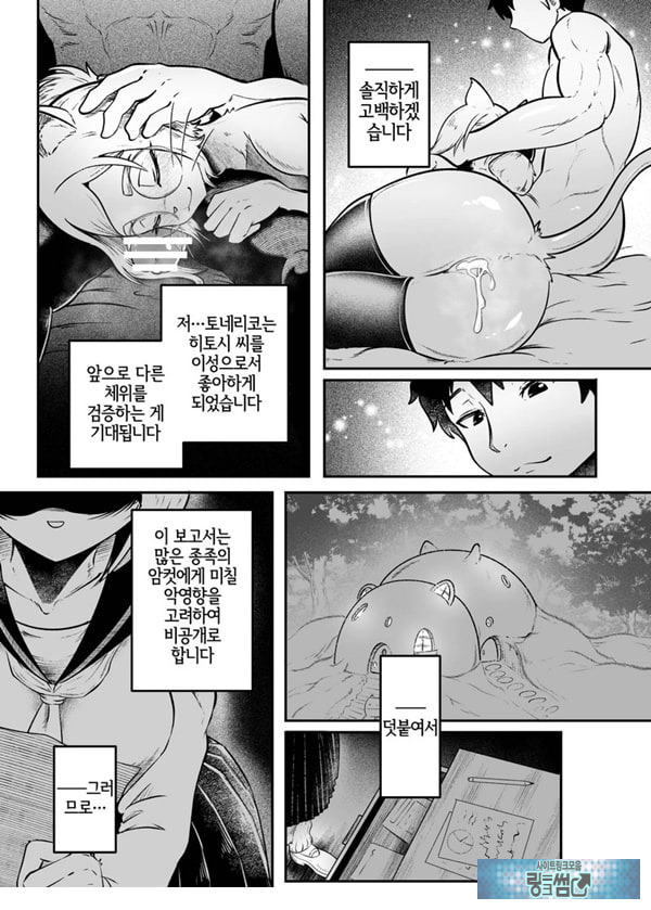 토네리코 보도관의 비밀보고서