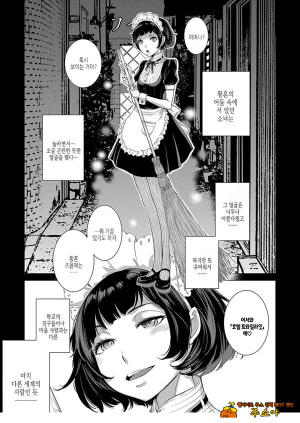 황혼 메이드