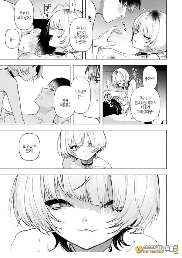 들고양이 들고양이