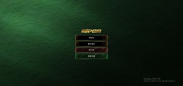 라이더