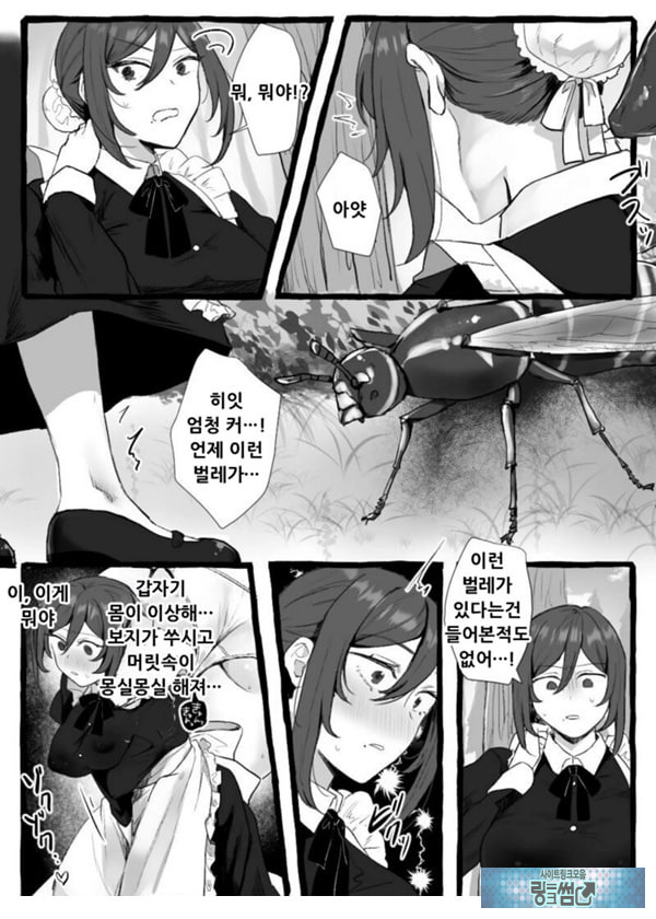충간 메이드