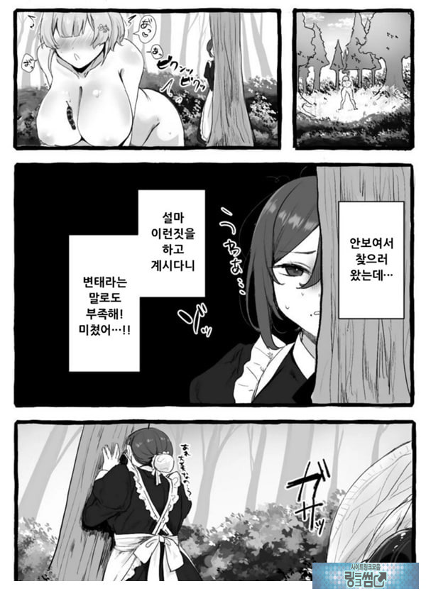 충간 아가씨