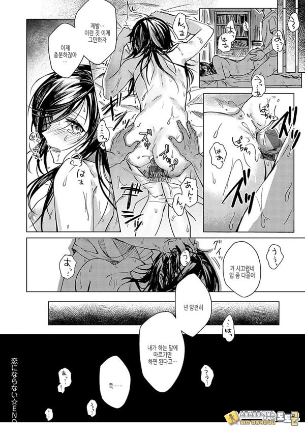 사랑이 되지 않아