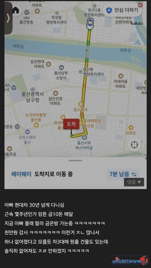 자식 농사 잘지었네