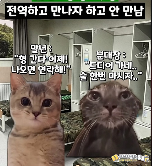 막상 전역하면 ㅋ 막상 전역하면 ㅋ