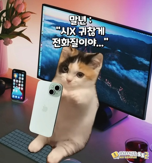 막상 전역하면 ㅋ 막상 전역하면 ㅋ