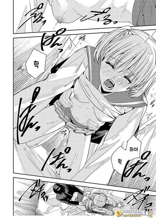 꿈의 끝 꿈의 끝