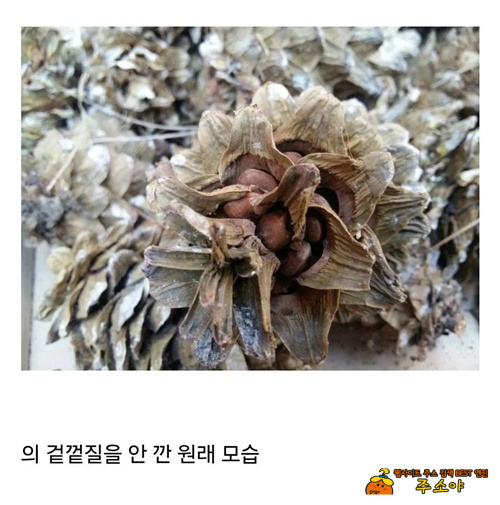 비싼 이유