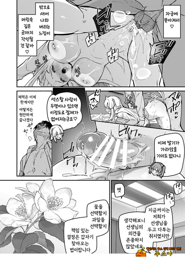 선택은 세미나의 꽃인가 과일인가
