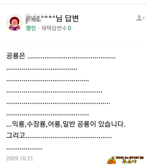 샛별초 김지우