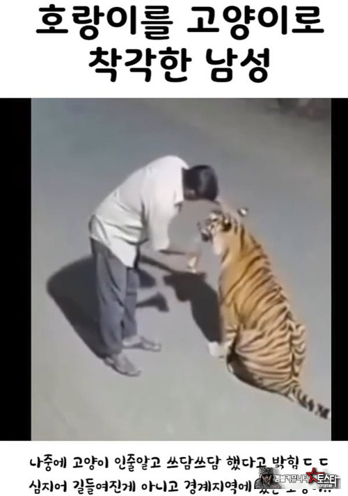 운수 억시게 좋은날