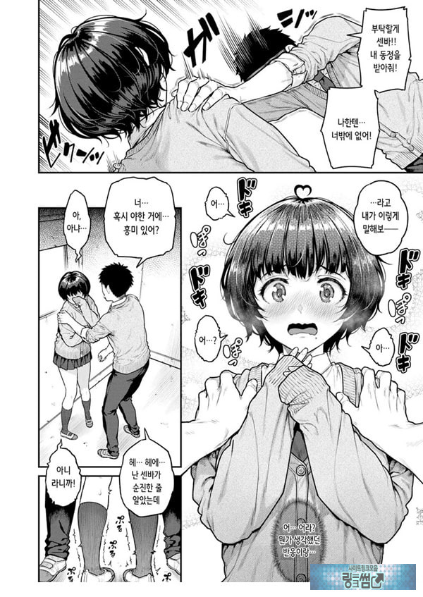 파시리쨩을 부탁합니다
