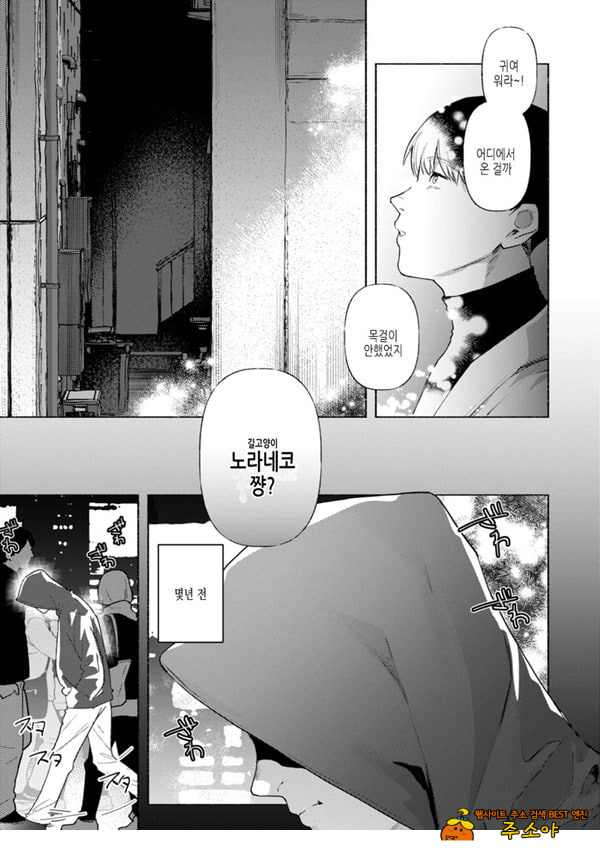 들고양이