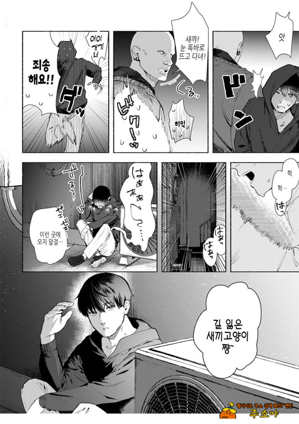 들고양이