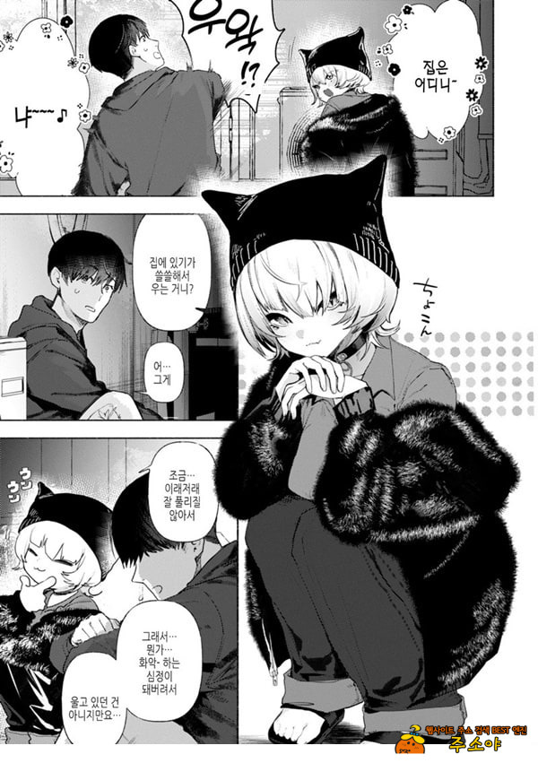 들고양이