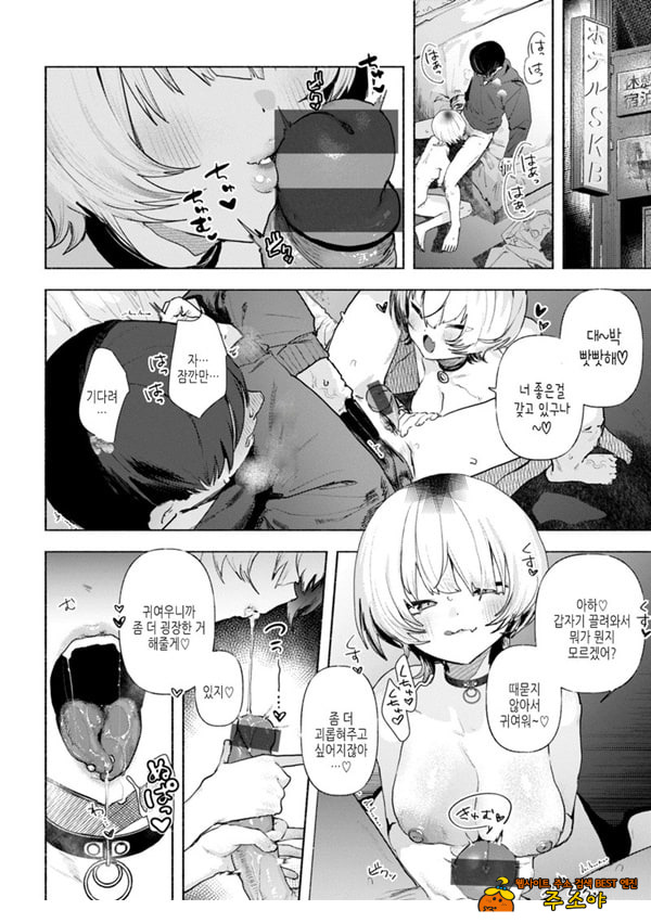 들고양이