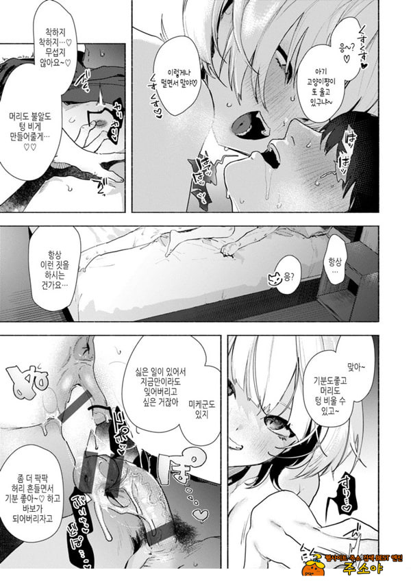 들고양이