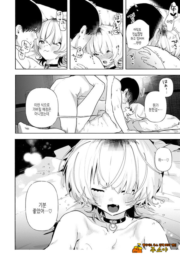 들고양이
