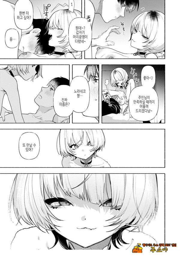 들고양이